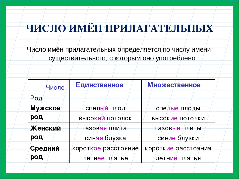 Образуй краткие формы прилагательных по образцу запиши