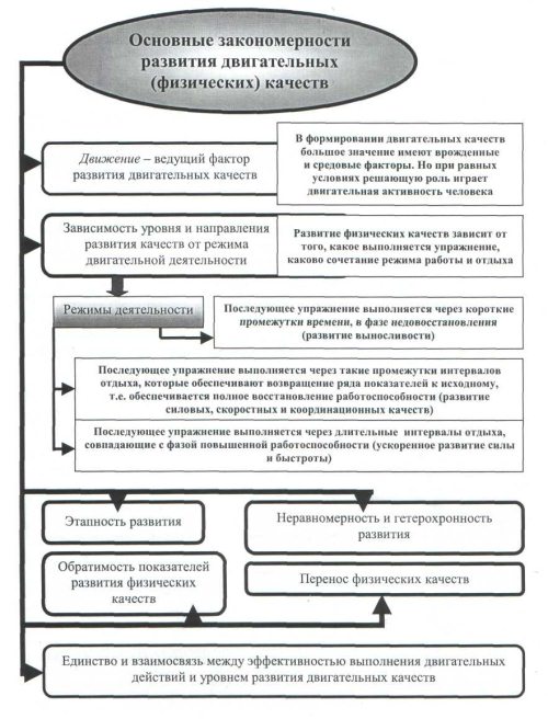 Развитие физических двигательных качеств. Принципы развития физических качеств. Закономерности воспитания физических качеств. Схема «средства развития физических качеств». Общие закономерности развития физических качеств.