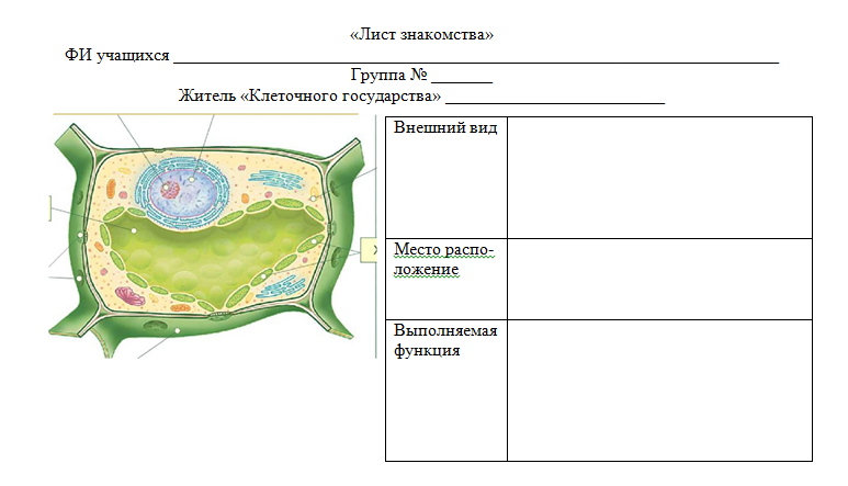 Строение клетки 5 класс биология растительной клетки. Рисунок растительной клетки с обозначениями 6