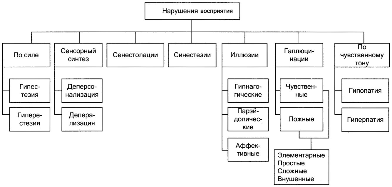 Восприятие и оценка объектов на основе определенных схем