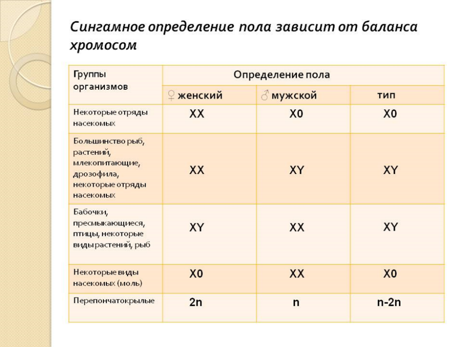 Генетика пола схема