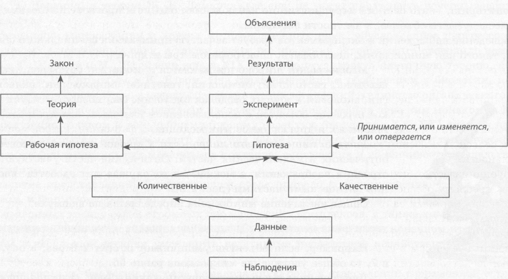 Какой метод биологических исследований был использован для получения изображения на данном рисунке