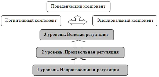 Схема волевой деятельности