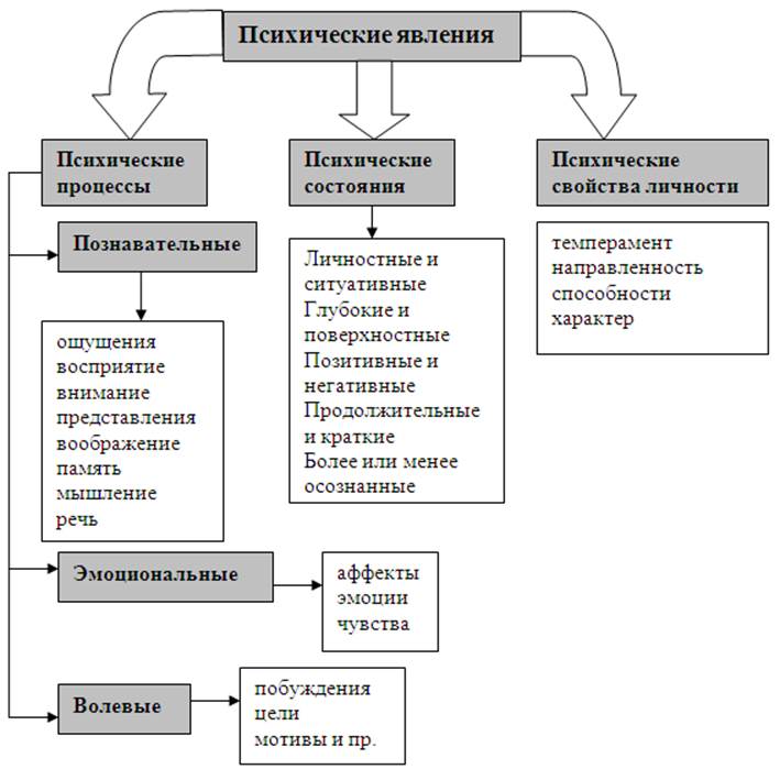 Структура психических явлений