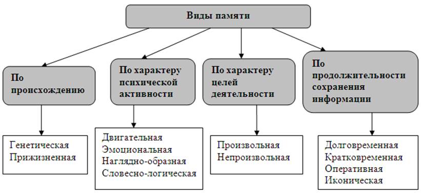 Какой тип памяти. Схема виды памяти психология. Классификация памяти схема психологии. Классификация основных видов памяти таблица. Типы памяти в психологии таблица.