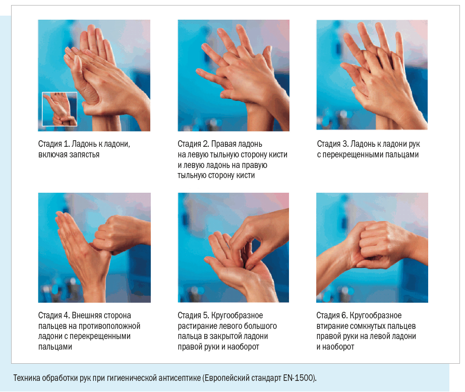 Гигиеническая обработка рук антисептиком медперсонала. Гигиеническая обработка рук Европейский стандарт en 1500. Гигиеническая обработка рук мылом алгоритм. Схема дезинфекции рук антисептиком.
