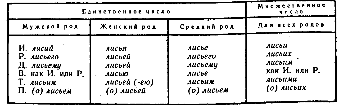 Схема склонение притяжательных прилагательных