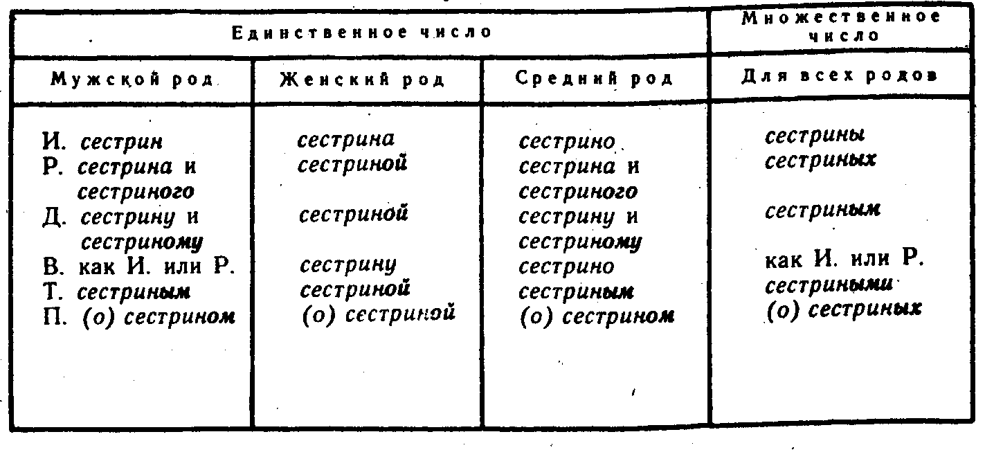 Схема склонение притяжательных прилагательных