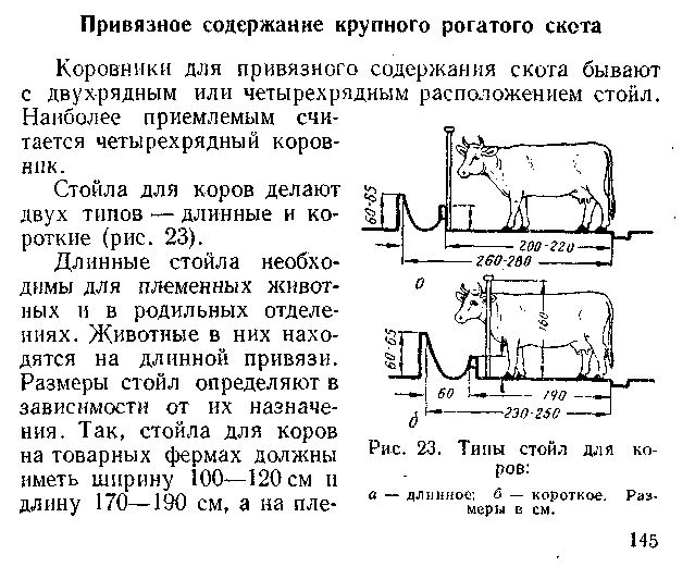 Коровник на 5 коров схема размеры для частного хозяйство