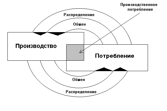 Общественное производство распределение. Стадии общественного воспроизводства. Модели воспроизводства в экономике. Модель производства и потребления. Воспроизводство и экономический рост на макроуровне.