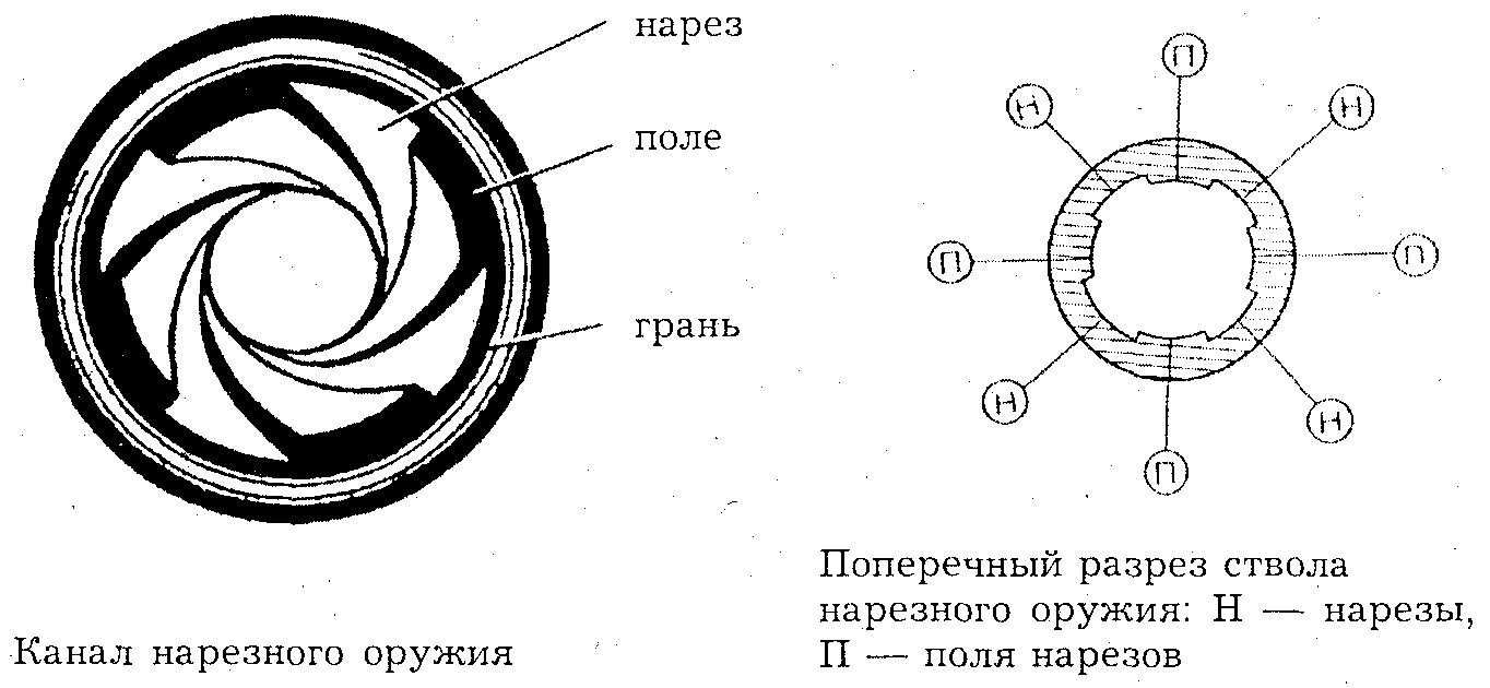 Ствола на схеме