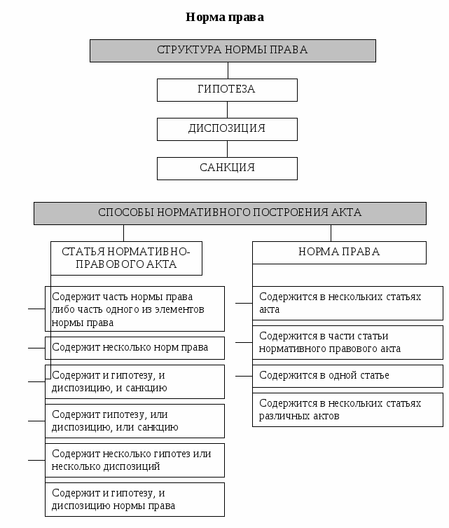 Структура нормы права схема