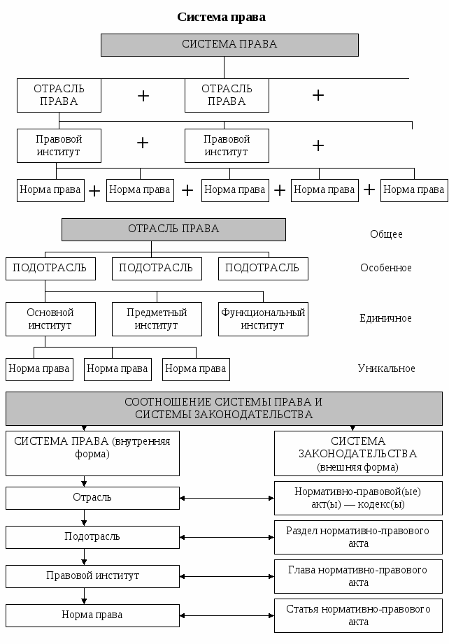 Институты права схема