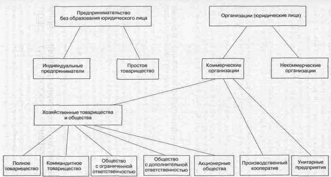 Разработка юридической схемы будущей коммерческой деятельности