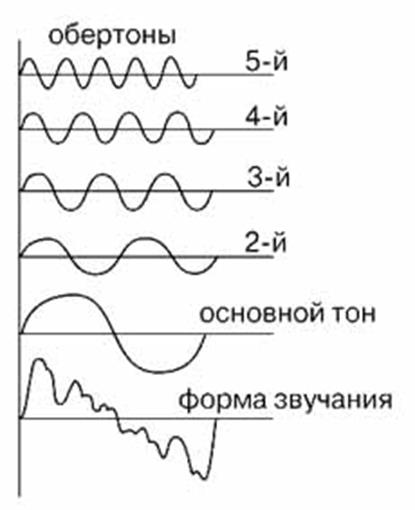 Частота и высота звука. Основной тон и Обертон тембр. Основной тон и обертоны физика. Тон громкость звука Обертон. Частоты основного тона обертоны.