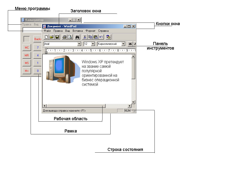 Window tools. Окно программы. Панель окна Windows. Окно приложения Windows. Перечислите элементы окна программы.