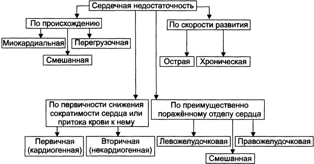 Патогенез хсн схема