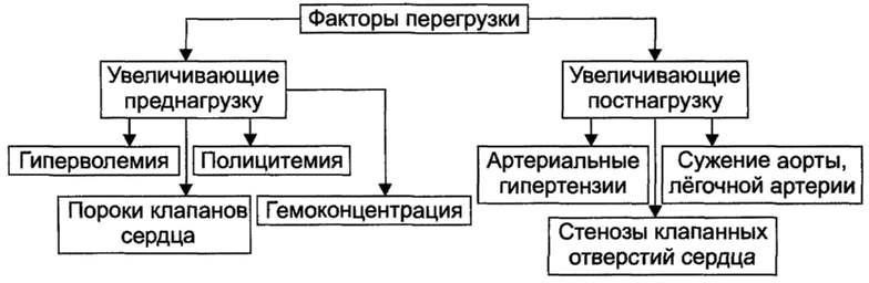 Перегрузка сердца. Перегрузочная форма сердечной недостаточности. К перегрузочной форме сердечной недостаточности приводит. Основные факторы перегрузки сердца. Сердечная недостаточность перегрузочная форма.