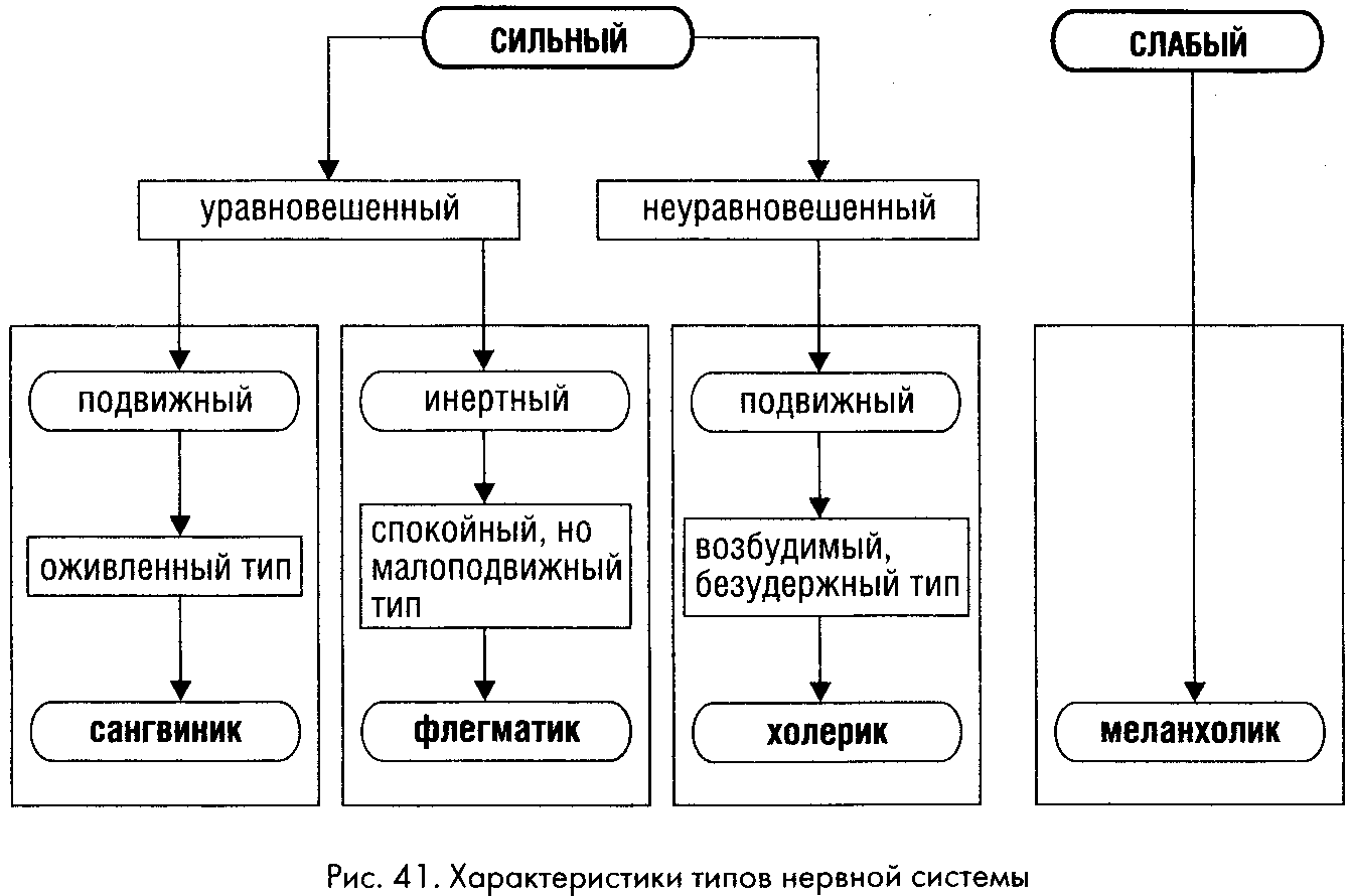 Схема физиологических характеристик общих для человека и животных типов темпераментов по павлову