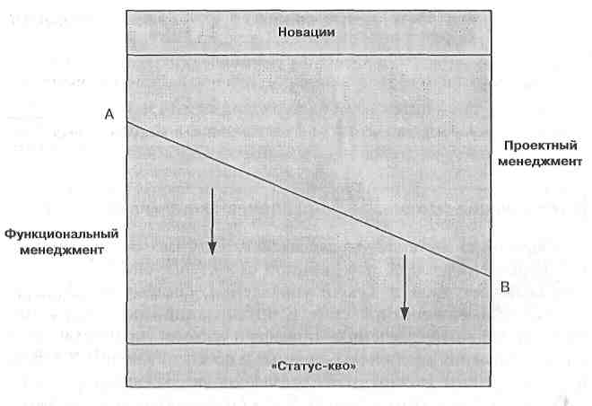 Управление проектами мазур