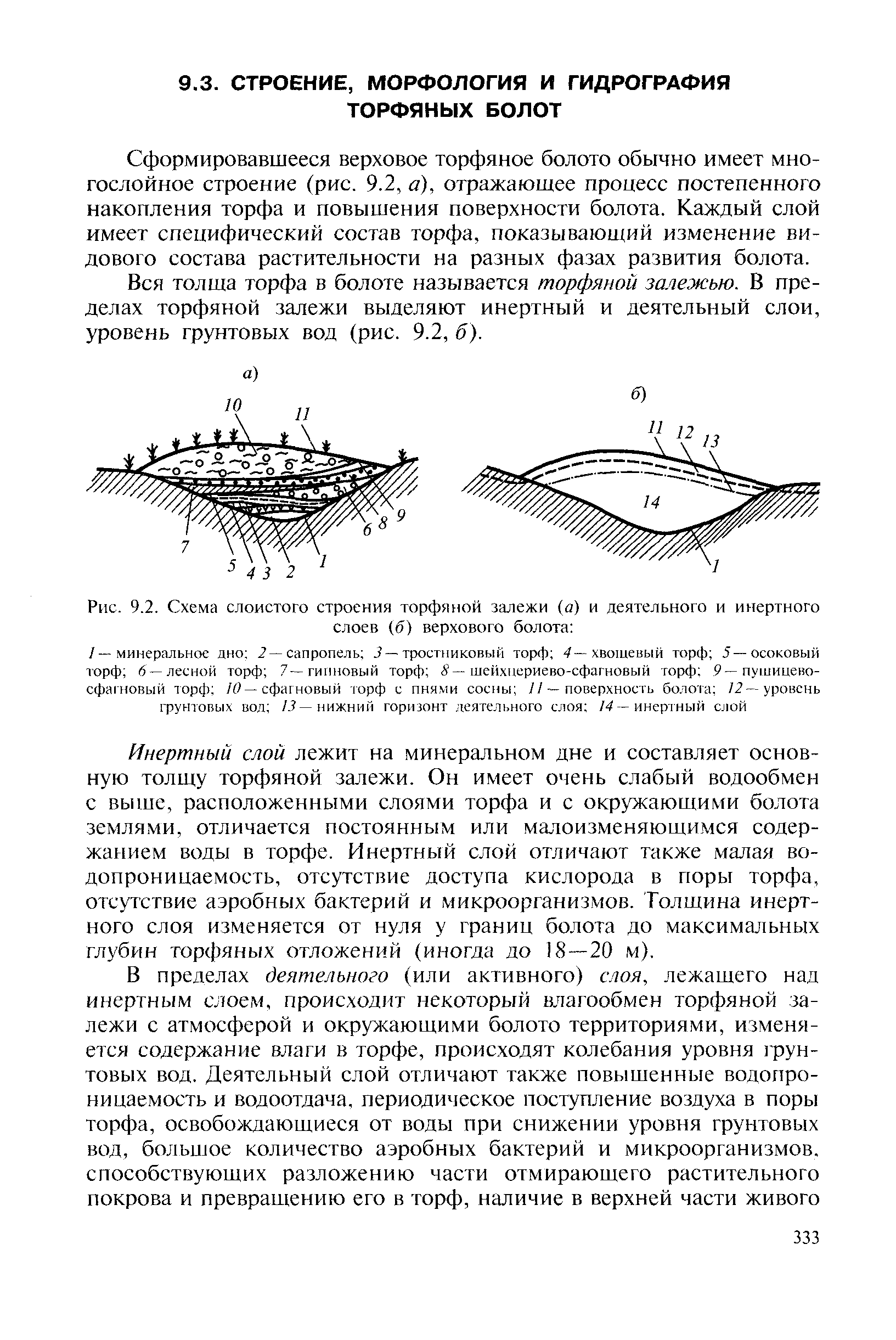 Деятельный слой. Схема слоистого строения торфяной залежи и. Строение торфяных залежей. Строение торфа. Деятельный слой болота.