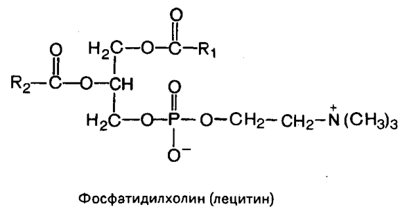 Лецитин формула. Лецитин формула химическая. Лецитин фосфатидилхолин формула. Строение фосфотидил Холин. Фосфатидилхолин строение формула.
