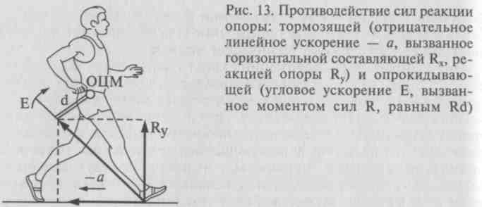 Сила реакции опоры действует на. Сила реакции опоры в биомеханике. Сила реакции опоры в спорте. Сила реакции опоры в беге. Сила реакции опоры при ходьбе.