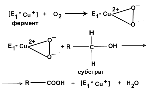 Окисление меди реакция. Карбонилирование. Цитохромоксидаза реакция. Реакции карбонилирования примеры с формулами. Цитохромоксидаза.