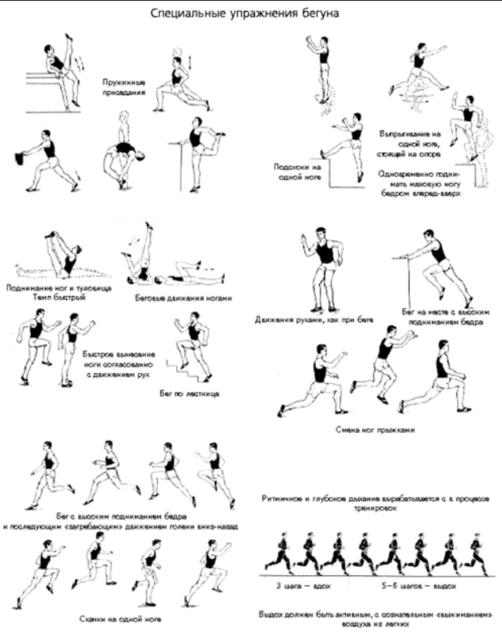 Специальные беговые упражнения в легкой атлетике