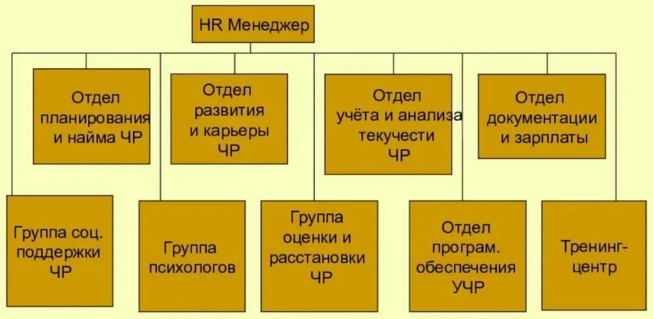 Структура служб организации. Структура службы по управлению персоналом компании. Организационная структура управления человеческими ресурсами схема. Служба управления человеческими ресурсами. Структура кадровой службы.