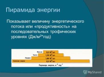 Пирамиды энергии задачи