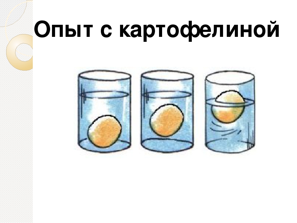 Картофелина тонет. Архимедова сила опыт. Опыты с солью. Опыт с картошкой. Опыт с картошкой и соленой водой рисунок.