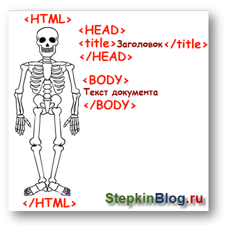 Читы скелет. Скелет html. Скелет сайта. Скелет html документа. Скелет сайта html.
