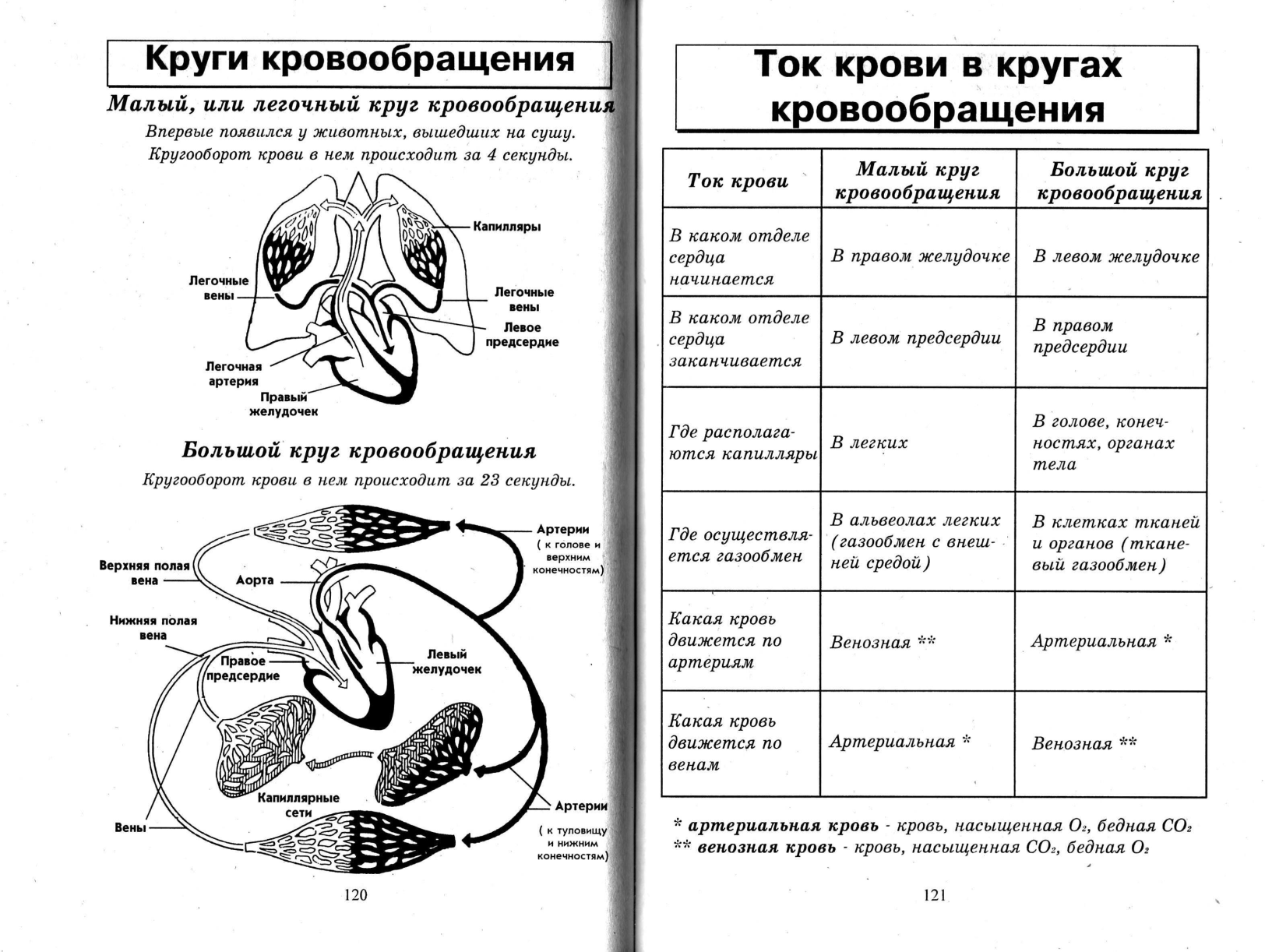 Круги кровообращения таблица. Таблица по биологии малый и большой круг кровообращения. Ток крови в кругах кровообращения таблица. Таблица по биологии 8 класс круги кровообращения. Аблицу 