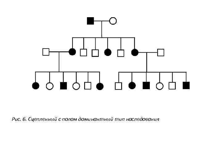 С полом типу. Родословная с х-сцепленным доминантным типом наследования. Х сцепленный доминантный Тип наследования. X сцепленный доминантный Тип наследования родословная. Генеалогическое Древо x-сцепленный доминантный Тип наследования.