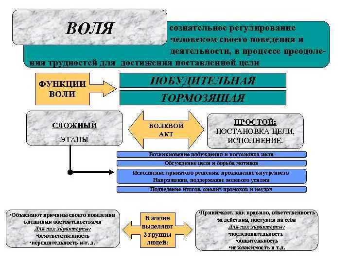 Схема функции воли