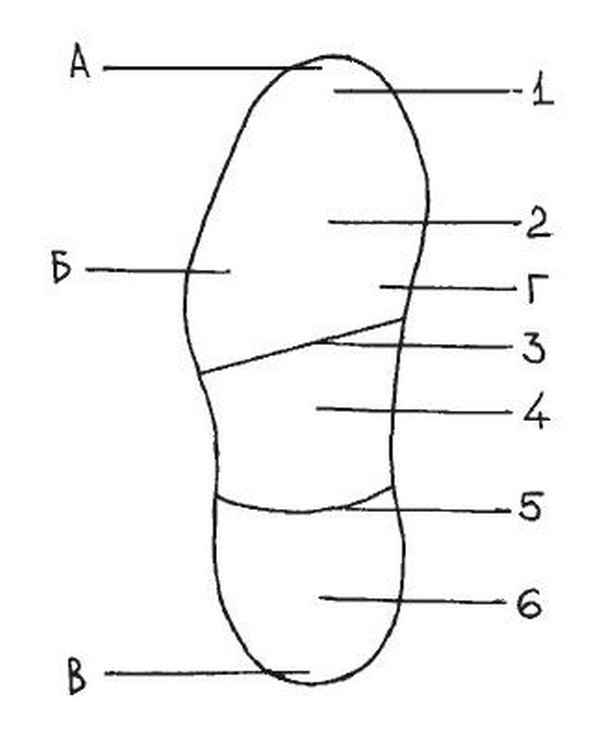 Рисунок подошвы обуви криминалистика