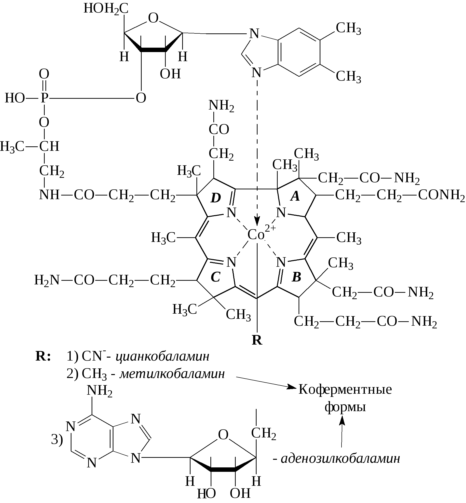 Группа б активная форма. Витамин в12 кобаламин формула. Витамин в12 структурная формула. Витамин б12 структурная формула. Витамин б12 химическая формула.