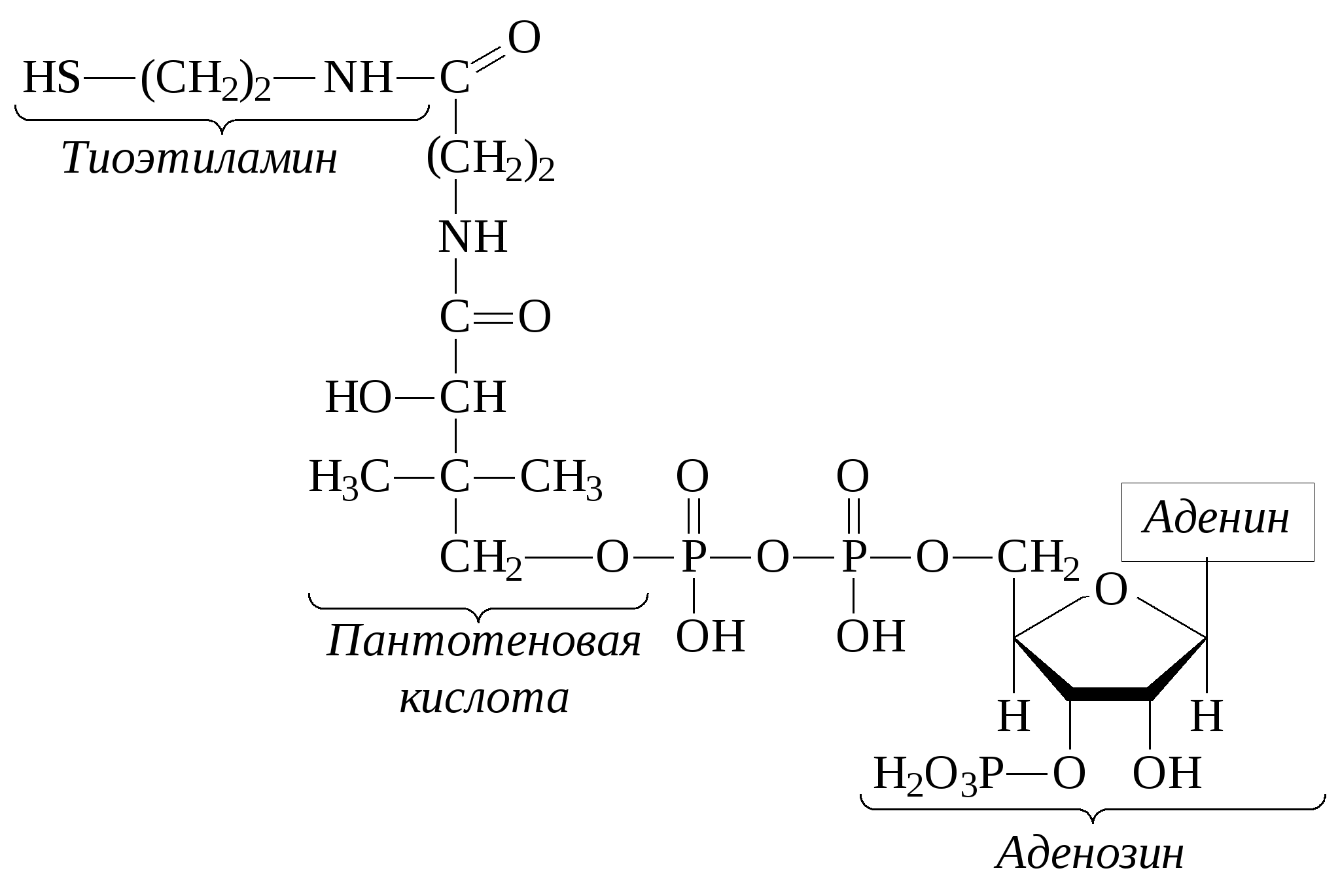 Строение кофермента КОА. КОА формула биохимия. Коэнзим а биохимия структура. Кофермент КОА формула.