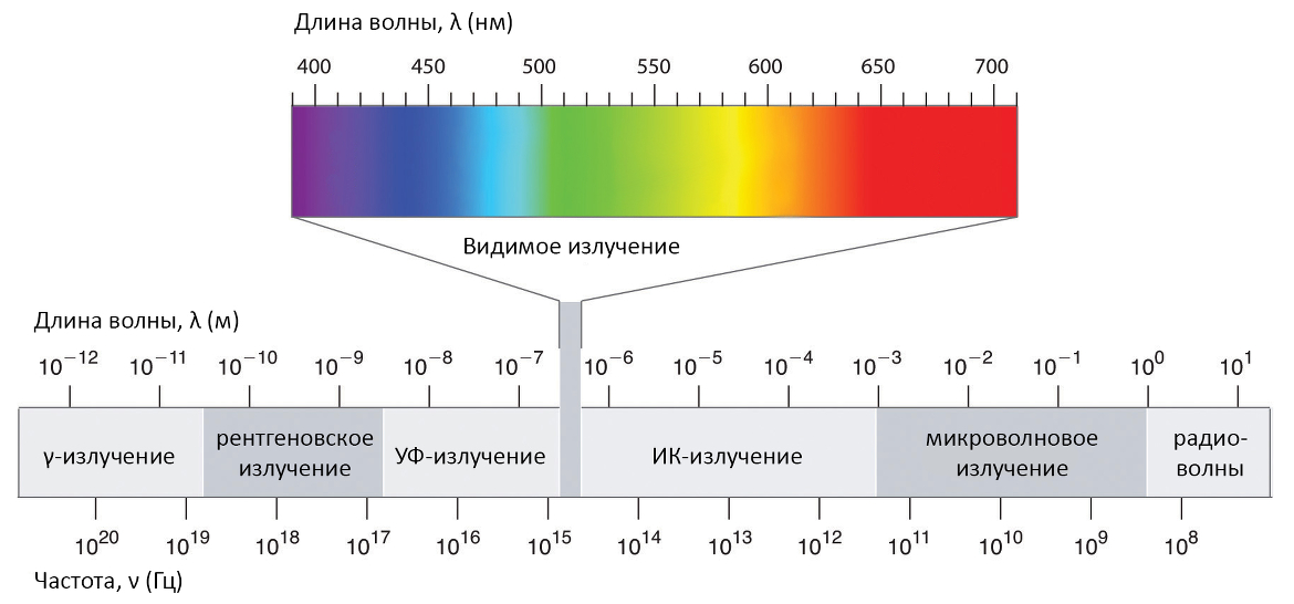 На схеме показаны пути трех различных типов излучения x y z