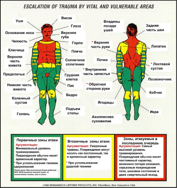 Презентация на тему влияние татуировки и пирсинга на организм человека