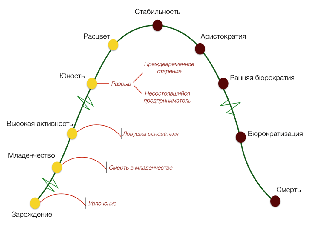 Модели управление жизненного цикла. Этапы жизненного цикла организации по Адизесу. Ицхак Адизес жизненный цикл организации. Жизненный цикл Адизеса схема. Адизес Ицхак стадии жизненного цикла.