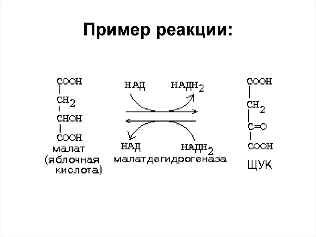 Реакция с участием. Транслоказы примеры реакций. Реакции с над. Пример реакции с участием над. Над дегидрогеназа пример реакции.