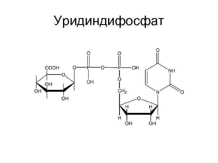 Схема бх для собак