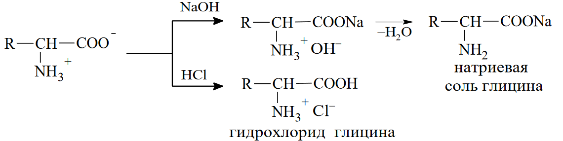 Глицин реагирует с гидроксидом натрия. Гидрохлорид глицина. Глицин в гидрохлорид глицина. Гипохлорид глицина формула. Натриевая соль глицина из глицина.