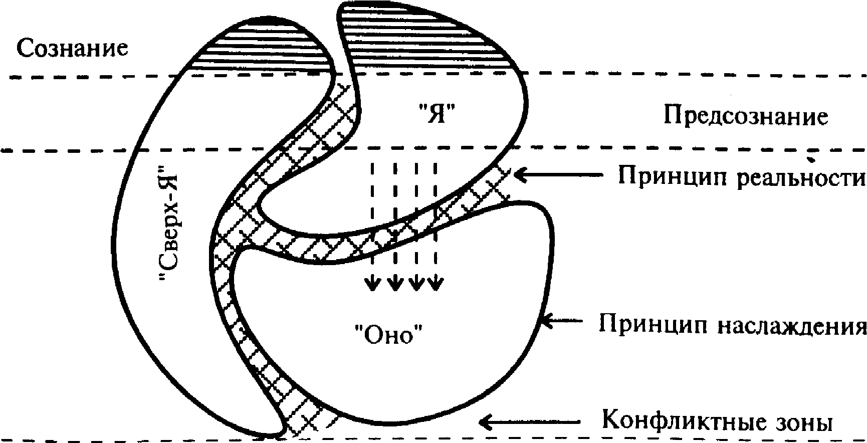 Психоанализ фрейда схема