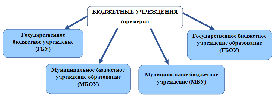 Виды бюджетных учреждений