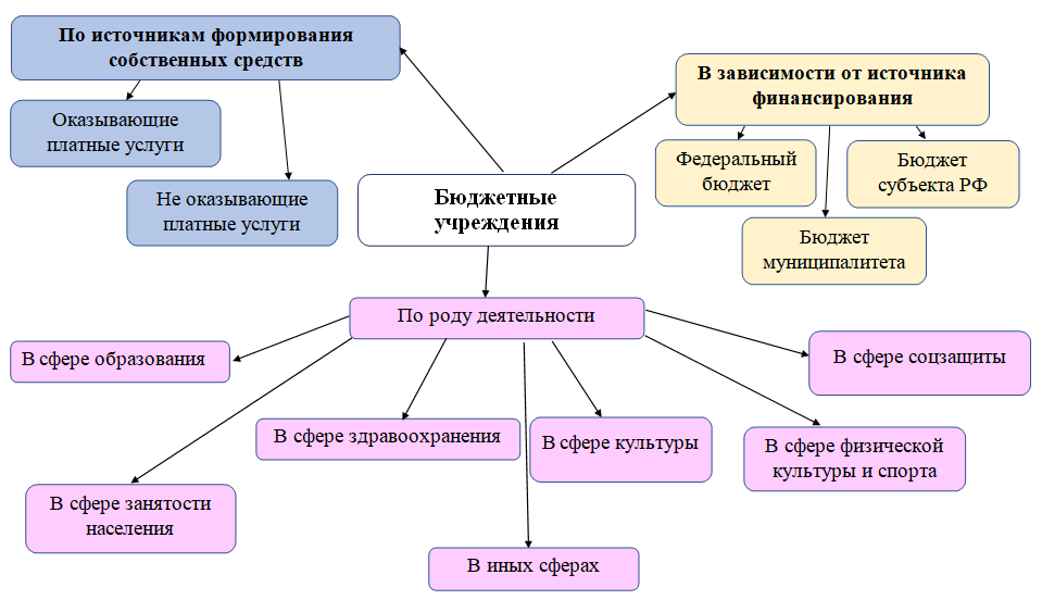 Бюджетная организация это