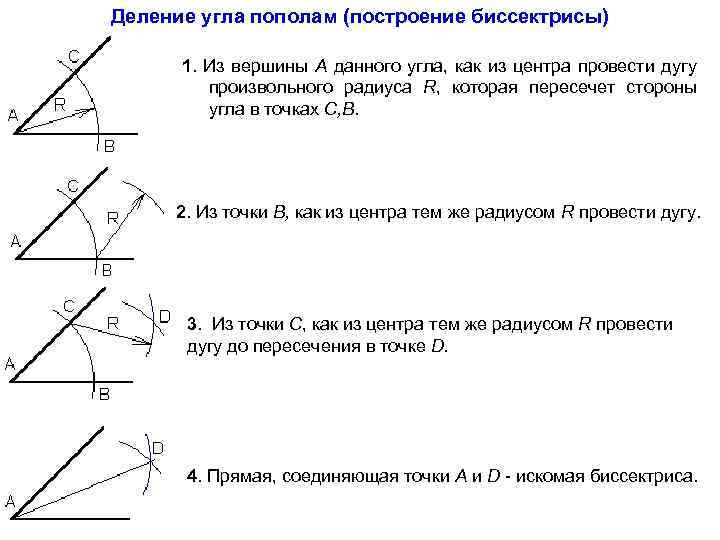 Как нарисовать биссектрису