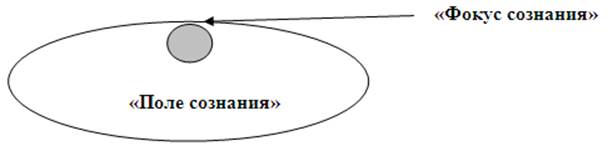 Поле сознания. Схема поля сознания. Фокус сознания. Общее поле сознания.